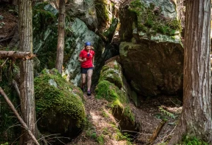 A person hiking in the forest