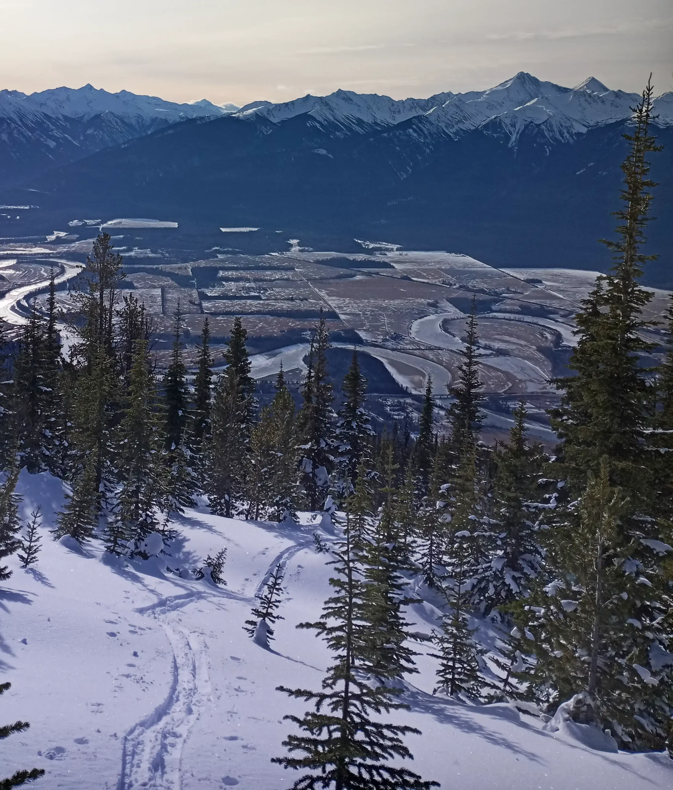 Back Country Ski Touring in McBride
