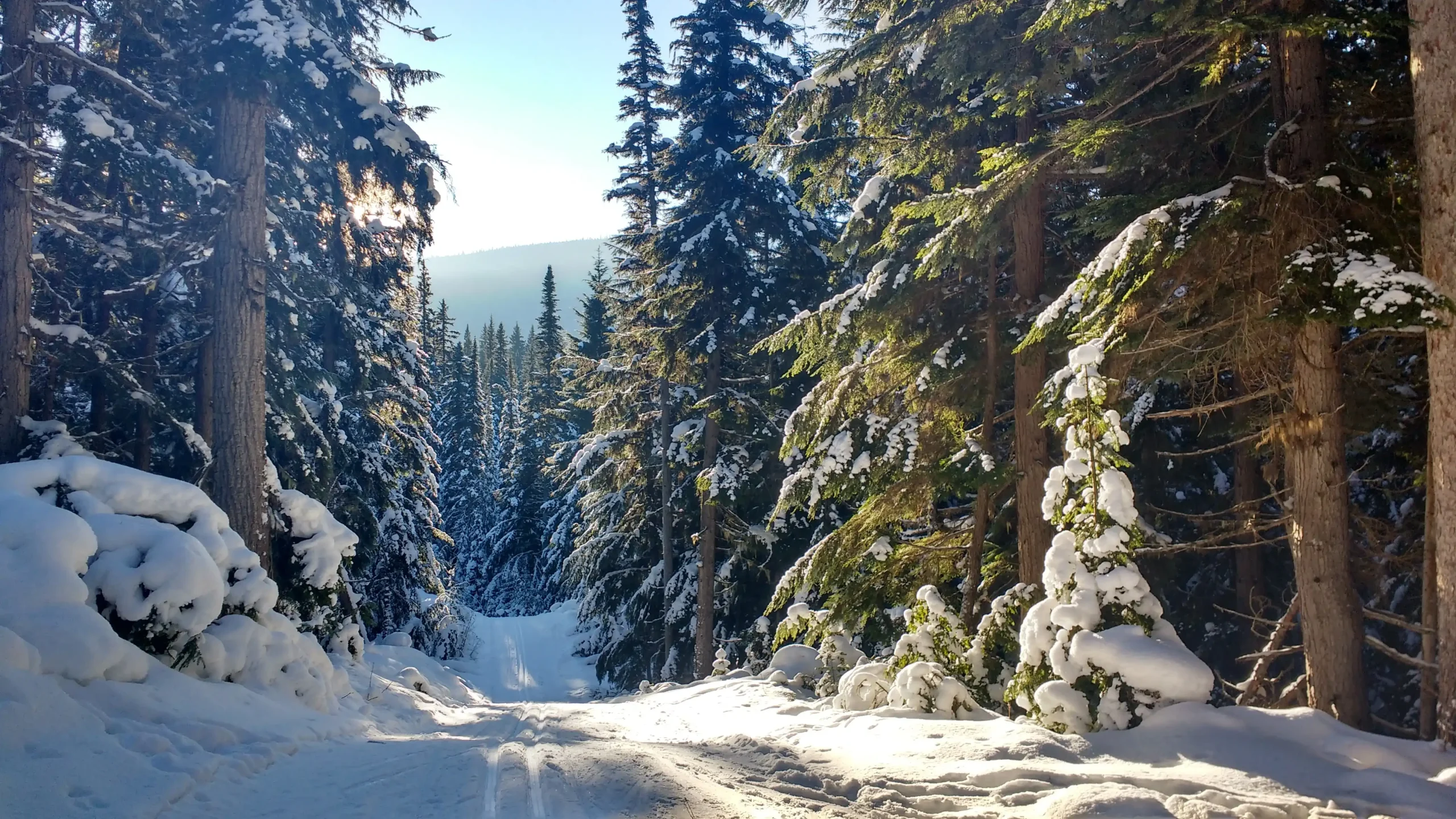 Belle Mountain Nordic Ski Trails