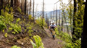 Fold 'Em Trail
