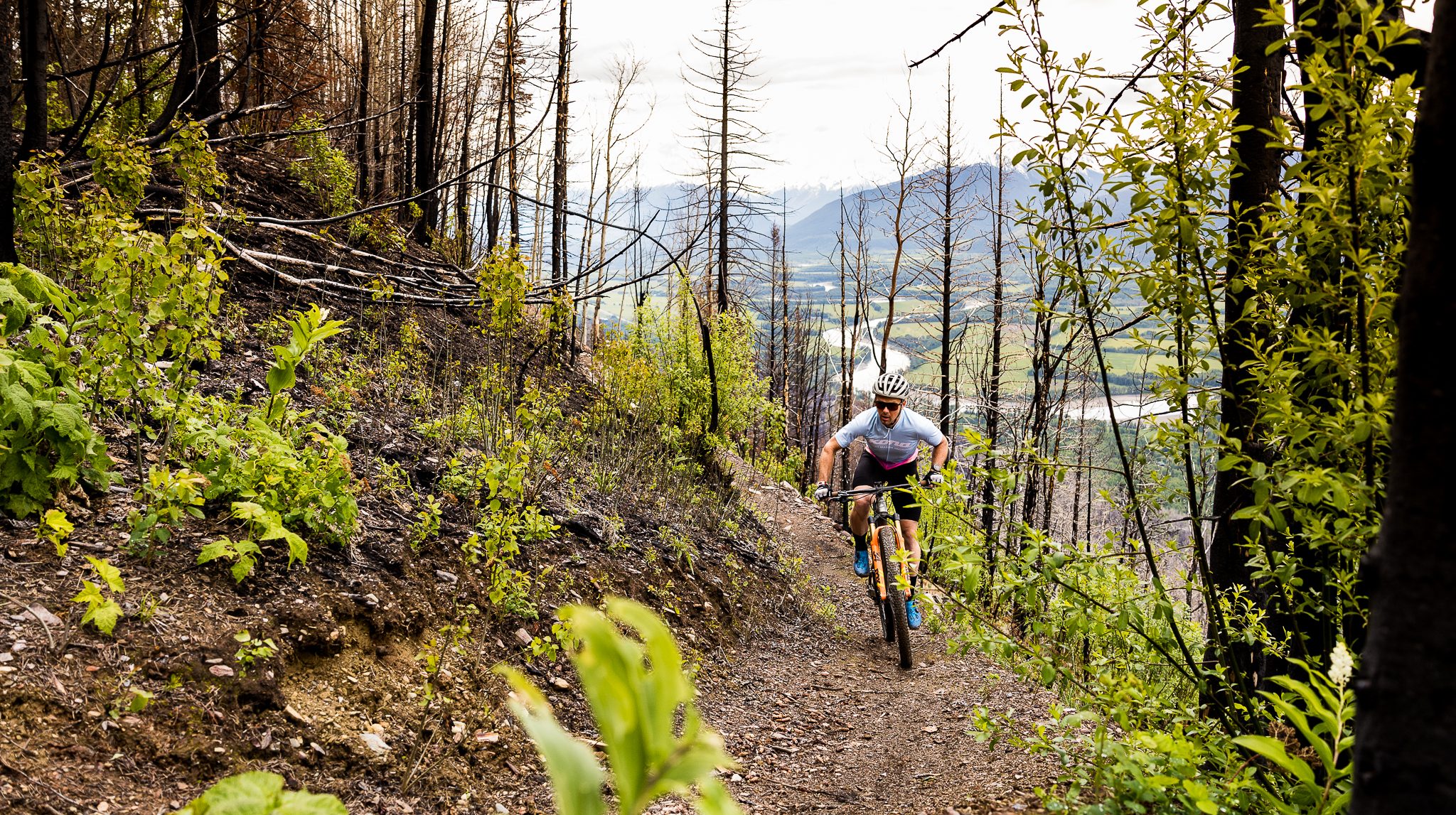 Fold 'Em Trail