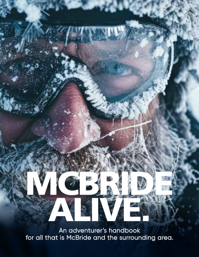 Cover for the McBride adventure guide