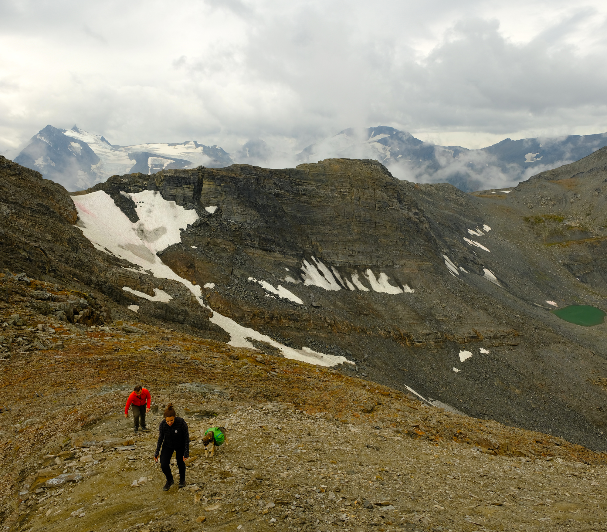 OZALENKA Charity Peak