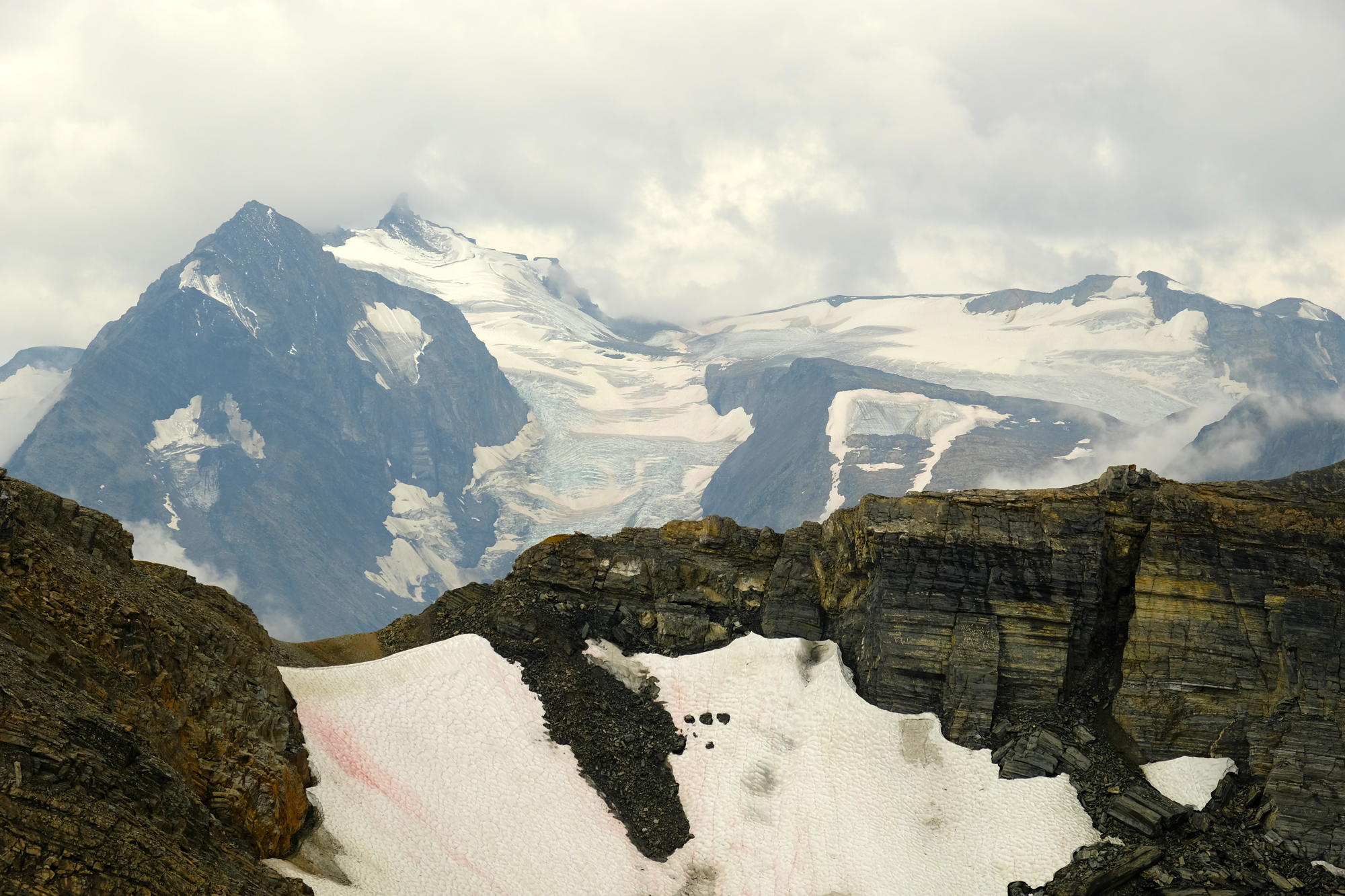 OZALENKA charity peak