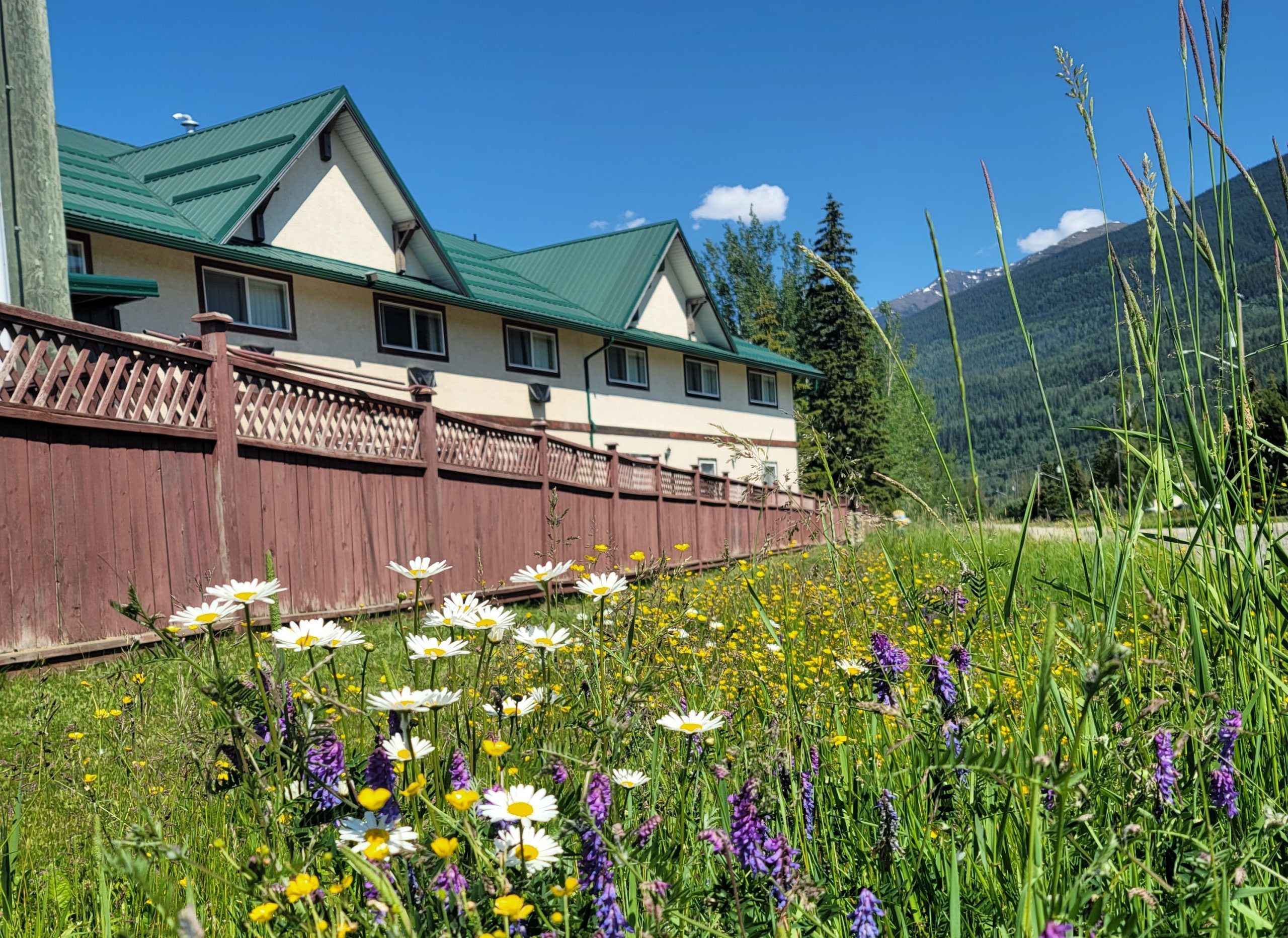 The Lodge