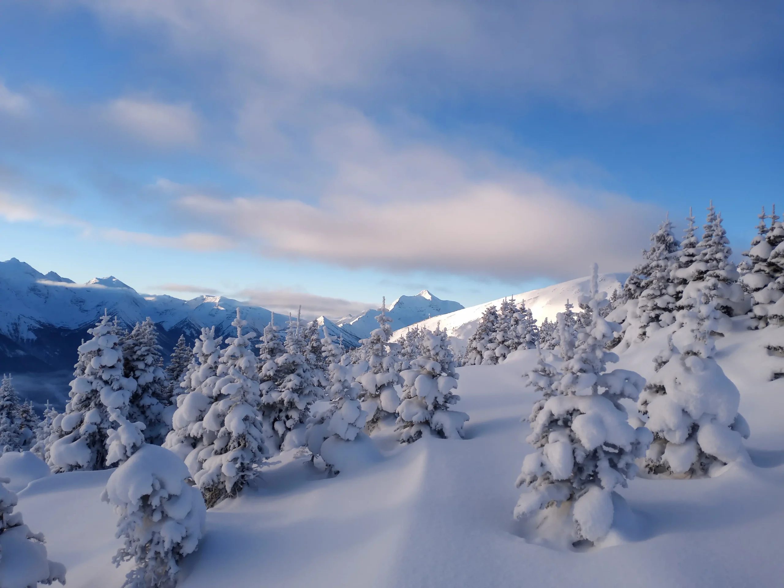 back country ski touring