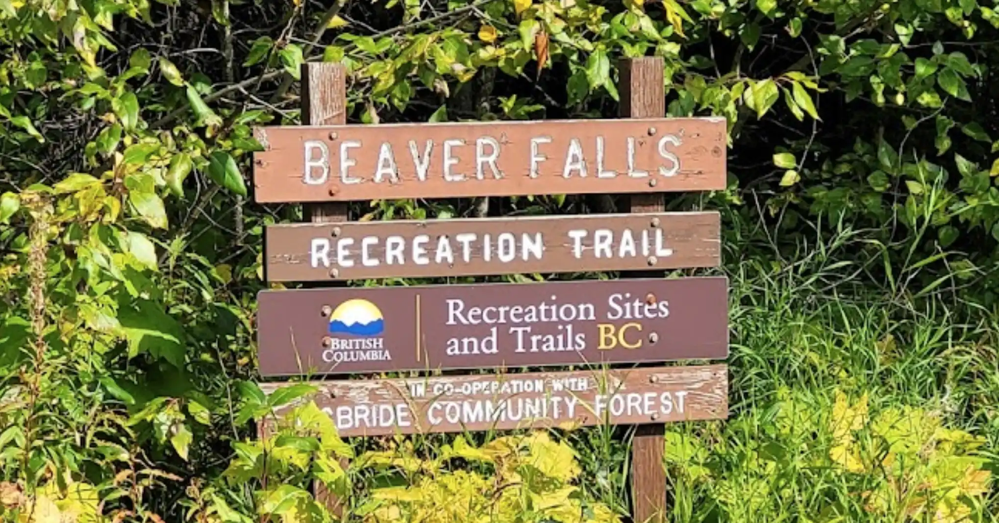 Beaver Falls Recreation Trail sign in the fall