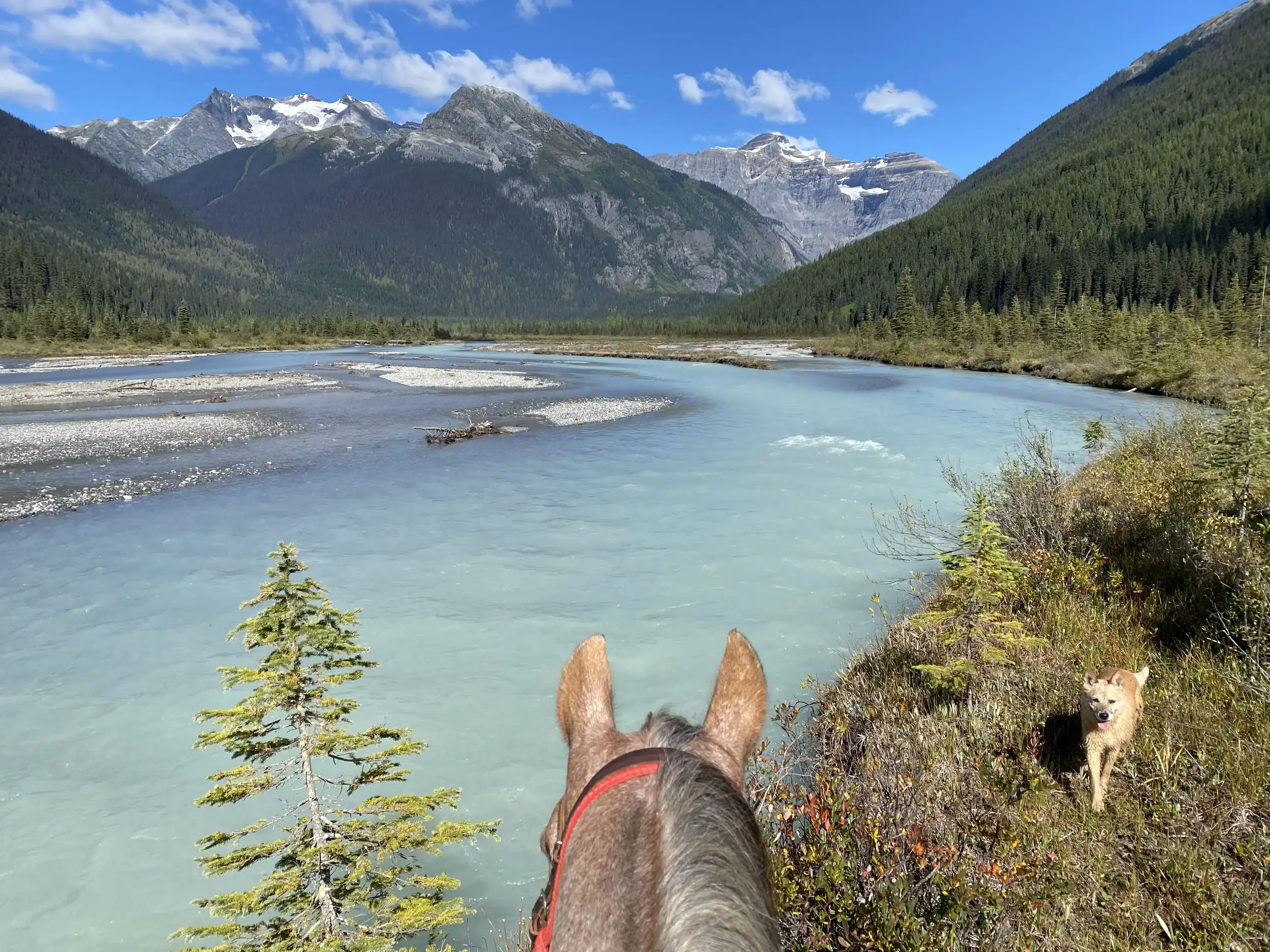 Photo looking at a river from on top of a horse