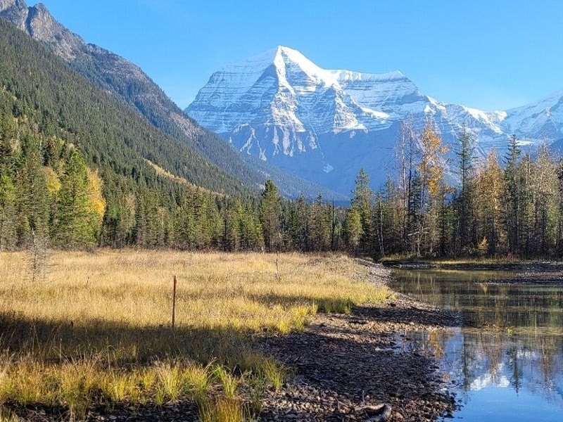 mt robson artist retreat