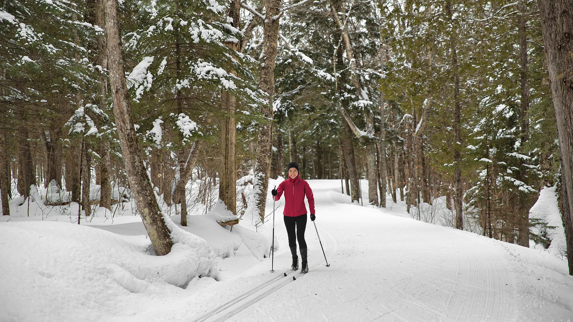 A person in the back country nordic skiing