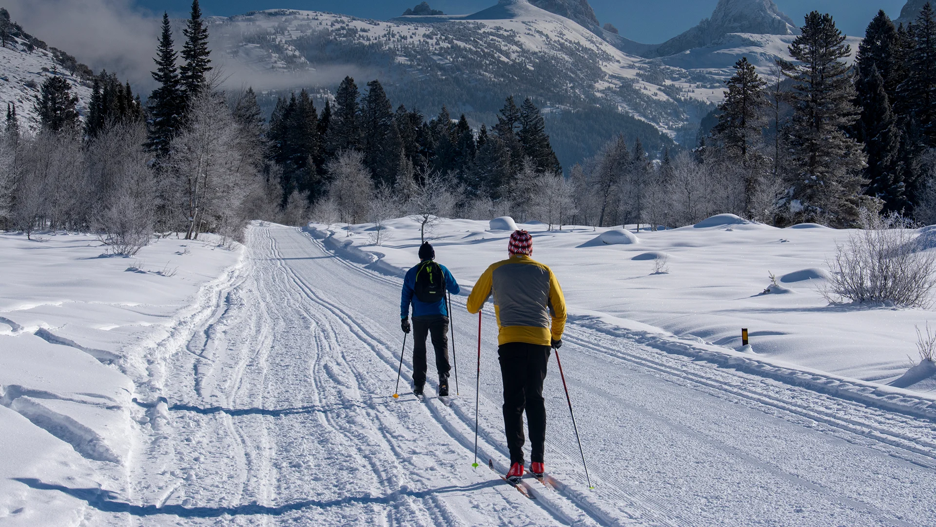 Two people nordic skiing