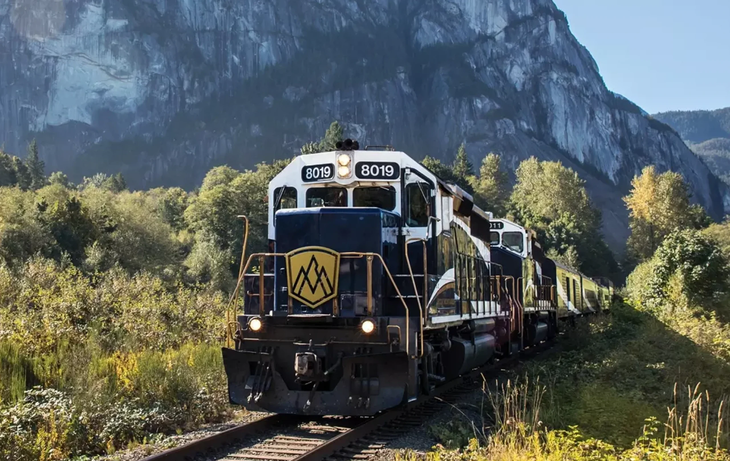 A train in front of the rocky mountains